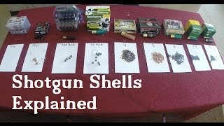 Shotgun Shells Explained [upl. by Hinkel317]