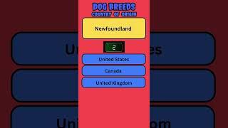 Dog Breeds origin Quiz 12 engquiz quiz english [upl. by Fadas]