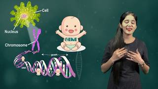 Heredity and Evolution 03 Genetic Terminology CBSE Class X Biology [upl. by Dirtsa]