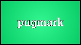 Pugmark Meaning [upl. by Monika]