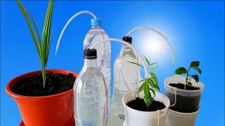 DIY Drip Irrigation System  Easy and Cheap [upl. by Meekahs]