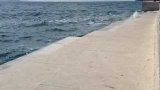 Sea Organ Zadar Croatia [upl. by Ran]