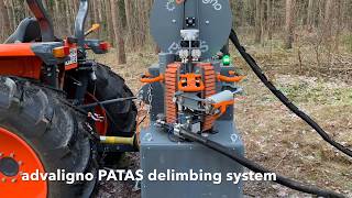 advaligno PATAS 201901  Lärche  maschinelle Hochastung  mechanical delimbing  LAST PROTOTYPE [upl. by Issirk]