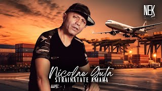 Nicolae Guta  Strainatate amara Videoclip HIT [upl. by Neliac778]