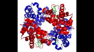 Part 22 Experimentelle Biophysik 2 [upl. by Ama20]