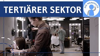 Tertiärer Sektor  Dienstleistungen  Wirtschaftssektoren 3  Dienstleistungsgesellschaft [upl. by Bedell]