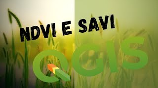 NDVI e SAVI no QGIS [upl. by Arianie946]