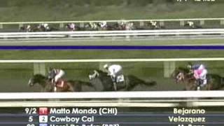 2009 Santa Anita Handicap [upl. by Lamonica]