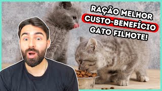 As Rações Com Melhor CUSTOBENEFÍCIO Para Gato FILHOTE [upl. by Tisbee]