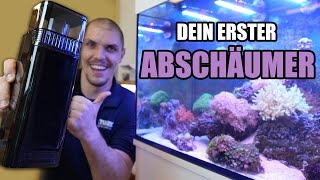 KLEINER ABSCHÄUMER für dein Aquarium  Die Lösung von Tunze [upl. by Helen806]