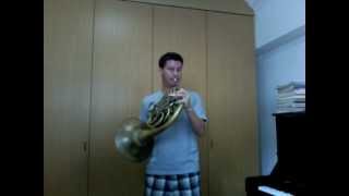 Cadenza for Mozart horn concerto 3 [upl. by Pryce]