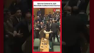 Marshals Intervene As Ruckus Erupts In JampK Assembly Over Article 370 Banner Display [upl. by Htims]