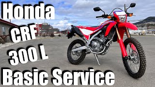 Honda CRF 300 L Oil Change amp Basic Service  How To StepByStep Guide [upl. by Aleyam]