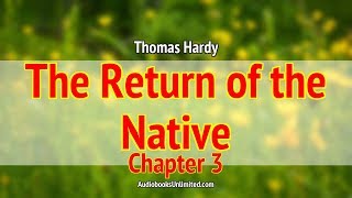 The Return of the Native Audiobook Chapter 3 [upl. by Gitlow332]