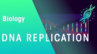 DNA Replication  Genetics  Biology  FuseSchool [upl. by Noremac]