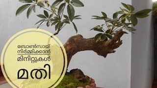 Make a bonsai within minutes  ബോൺസായ് ഉണ്ടാക്കാൻ ഒരു കിടിലൻ എളുപ്പവഴി [upl. by Arette388]