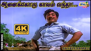 ஆனைக்கொரு காலம் வந்தா பூனைக்கொரு காலம் வரும்  Sivaji Ganesan  Jayalalithaa   Raj 4K Songs [upl. by Sevy]