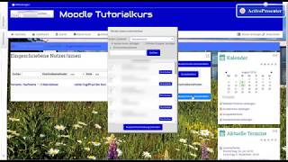 Moodle Einführung 1 Grundeinstellungen [upl. by Amorete286]
