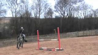 Show Jumping Exercise Improve Your Show Jumping In Just 5 Minutes [upl. by Koerner]