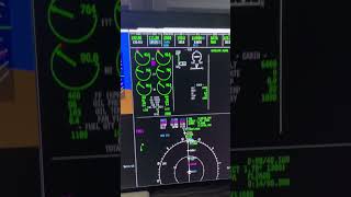 Challenger 650  cruise l xplane 12 [upl. by Ilajna247]