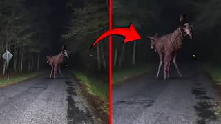 Top Weirdest Things caught on Camera [upl. by Andris]