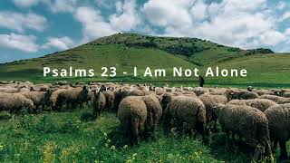 Psalms 23  I Am Not Alone LYRICS VERSION [upl. by Gross]