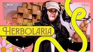 EP 32  Sesiones Mucha Muchacha  Herbolaria [upl. by Enitram]