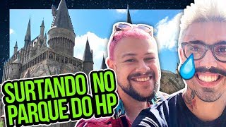 SURTANDO NO PARQUE DO HARRY POTTER  Diva Depressão [upl. by Imalda]