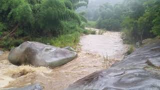 Piedra escrita Jayuya crecida del rio [upl. by Hales253]