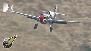 Two Curtiss P40 fighters  the sound of freedom [upl. by Korman]