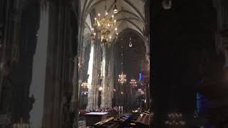 Stephansdom 25 Dezember 2017  Stille Nacht [upl. by Eilitan873]