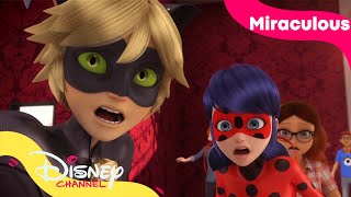 Har Cat Noir blitt ond  Miraculous  Disney Channel Norge [upl. by Ecnar]