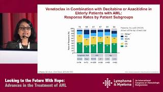 Acute Myeloid Leukemia Debate on Standard of Care for Patients ≥ 60 Years [upl. by Martel]