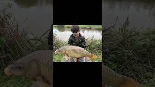 upham fisheries day session 12 out specimen lake most over 15lbs [upl. by Mcmurry]