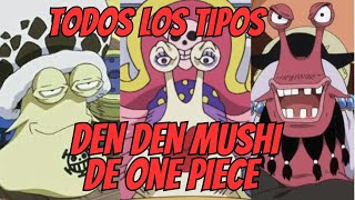 ONE PIECE Todos Los Tipos De DEN DEN MUSHI [upl. by Naujit]