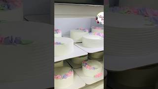 6 മണിക്കൂറിൽ 12 Cakes cakes baking cakerecipe reels shorts bulkorder business [upl. by Aistek]