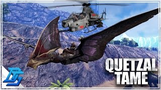 Otter Team 7 Tapejara  Quetzal  Helicopter Tame  Ark Survival Evolved  Part 5 Volcano PvP [upl. by Jar]