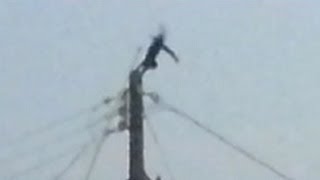 Cat gets ELECTROCUTED BACKFLIP [upl. by Esereht]