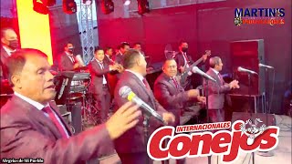 Internacionales Conejos  Mix Merengue 2022 [upl. by Etireuqram]