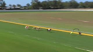 Bundaberg09092024Race7 [upl. by Elime]