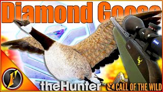 NEW SCOPES vs Yukon Valley  Diamond Goose in theHunter Call of the Wild [upl. by Rednav]