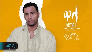 Temesgen Gebreselassie  Taniqo  Debena yelen sebri  ደበና የለ ሰርቢ  Eritrean Music  Official Audio [upl. by Secilu878]