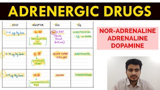 Autonomic Pharmacology  15  NorAdrenaline  Adrenaline amp Dopamine  EOMS [upl. by Xyno]