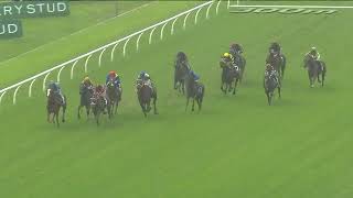 FRANZ JOSEF WINS AT ROSEHILL [upl. by Aisayt]