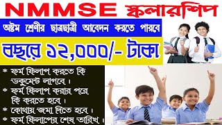 NMMSE SCHOLARSHIP ONLINE APPLICATION 2024  CLASS 8 SCHOLARSHIP EXAM FORM FILLUP  HOW TO APPLY NMMS [upl. by Xuerd]