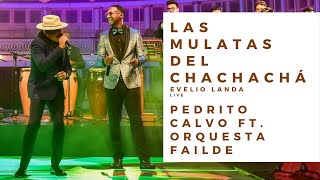 Las Mulatas del chachachá  Orquesta Failde y Pedrito Calvo Evelio Landa 🎧🎬 [upl. by Furie]