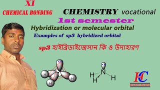 class 11 chemistry sp3 hybridization  chemical bonding  sp3 hbridization sturcture amp examples [upl. by Nirroc]