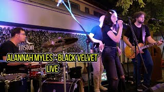 Alannah Myles  Black Velvet  Live by Beatrice Florea amp Andrei Cerbu Band [upl. by Walford]