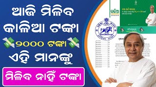 Kalia Yojana Money Transfer Date 2024  Kalia Yojana New Update  Kalia Yojana New List kaliayojana [upl. by Abana]