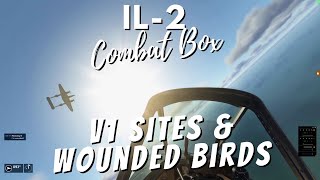 IL2 Combat Box Server  V1 Sites amp Wounded Birds [upl. by Brendin]